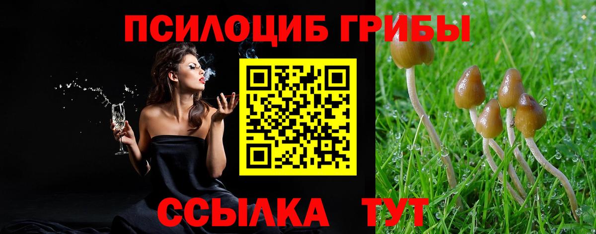 Улан-Удэ  Псилоцибиновые грибы Psilocybe  Вход с VPN 