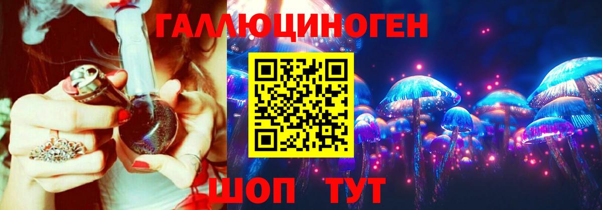 Псилоцибиновые грибы мицелий Улан-Удэ